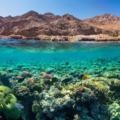 Sharm El Sheikh