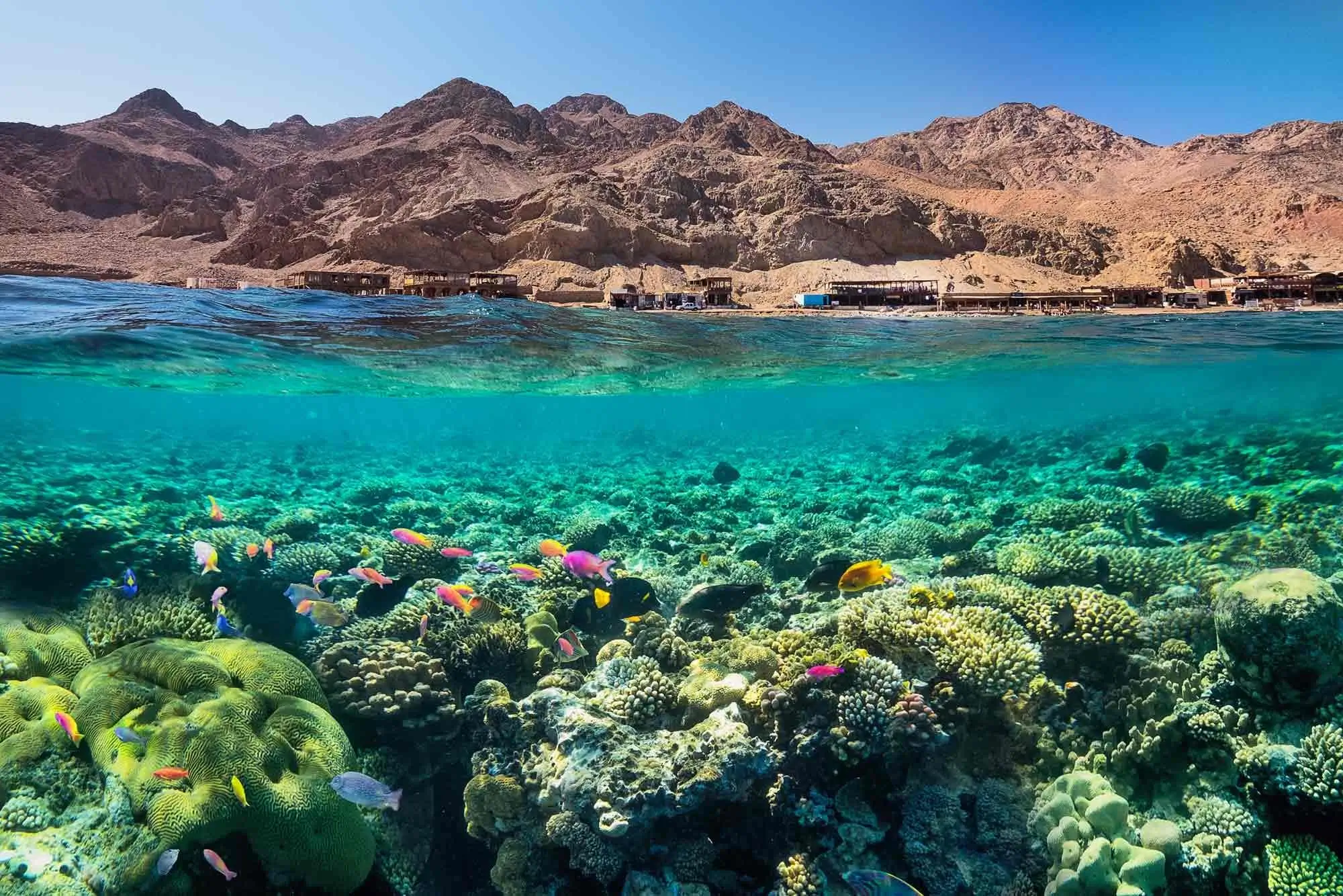 Sharm El Sheikh