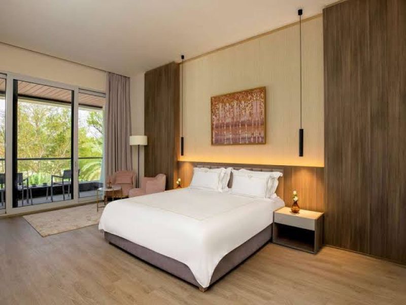 Deluxe Room park View King Bed single