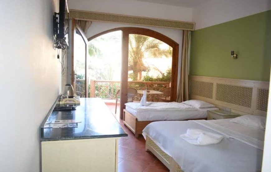 Standard Single Room B&B